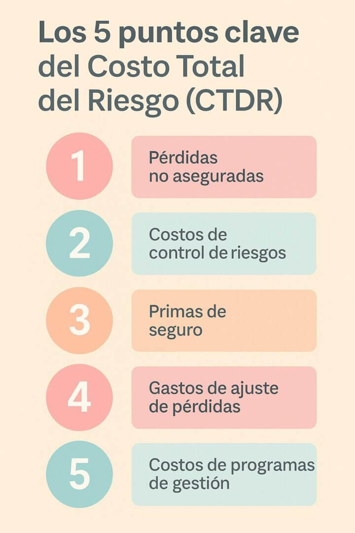 Infografía vertical en colores pasteles que muestra los cinco puntos clave del Costo Total del Riesgo (CTDR): pérdidas no aseguradas, costos de control, primas de seguro, gastos de ajuste y programas de gestión.